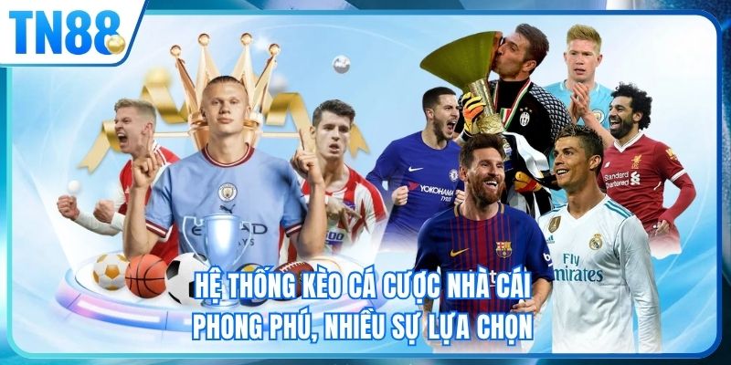 Hệ thống kèo cá cược nhà cái phong phú, nhiều sự lựa chọn